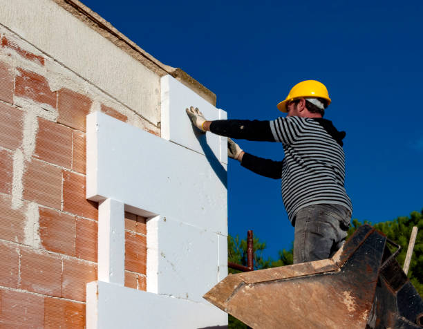 Best Residential Insulation in Dubach, LA