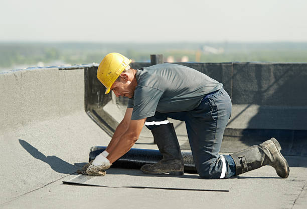 Best DIY Insulation Kits and Guidance in Dubach, LA