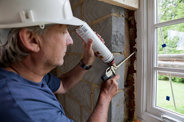 Best Eco-Friendly Insulation in Dubach, LA