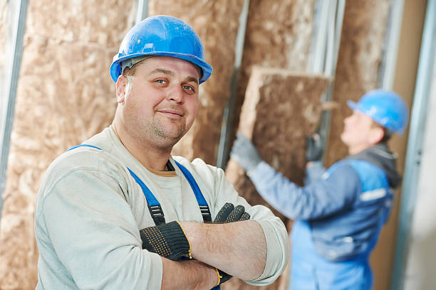 Best Insulation Maintenance and Repair in Dubach, LA