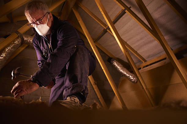 Best DIY Insulation Kits and Guidance in Dubach, LA