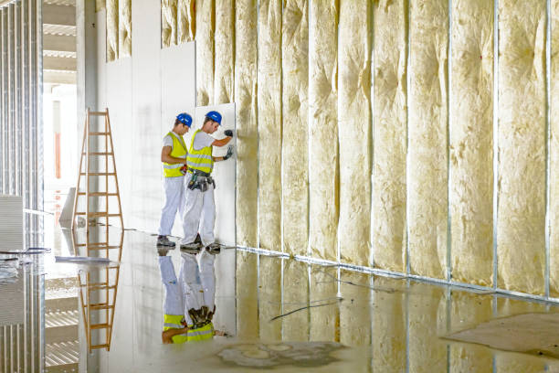 Professional Insulation Contractor in Dubach, LA